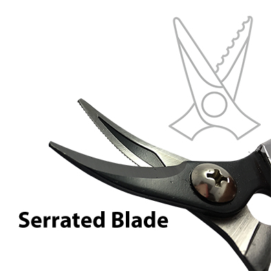 Serrated Blade