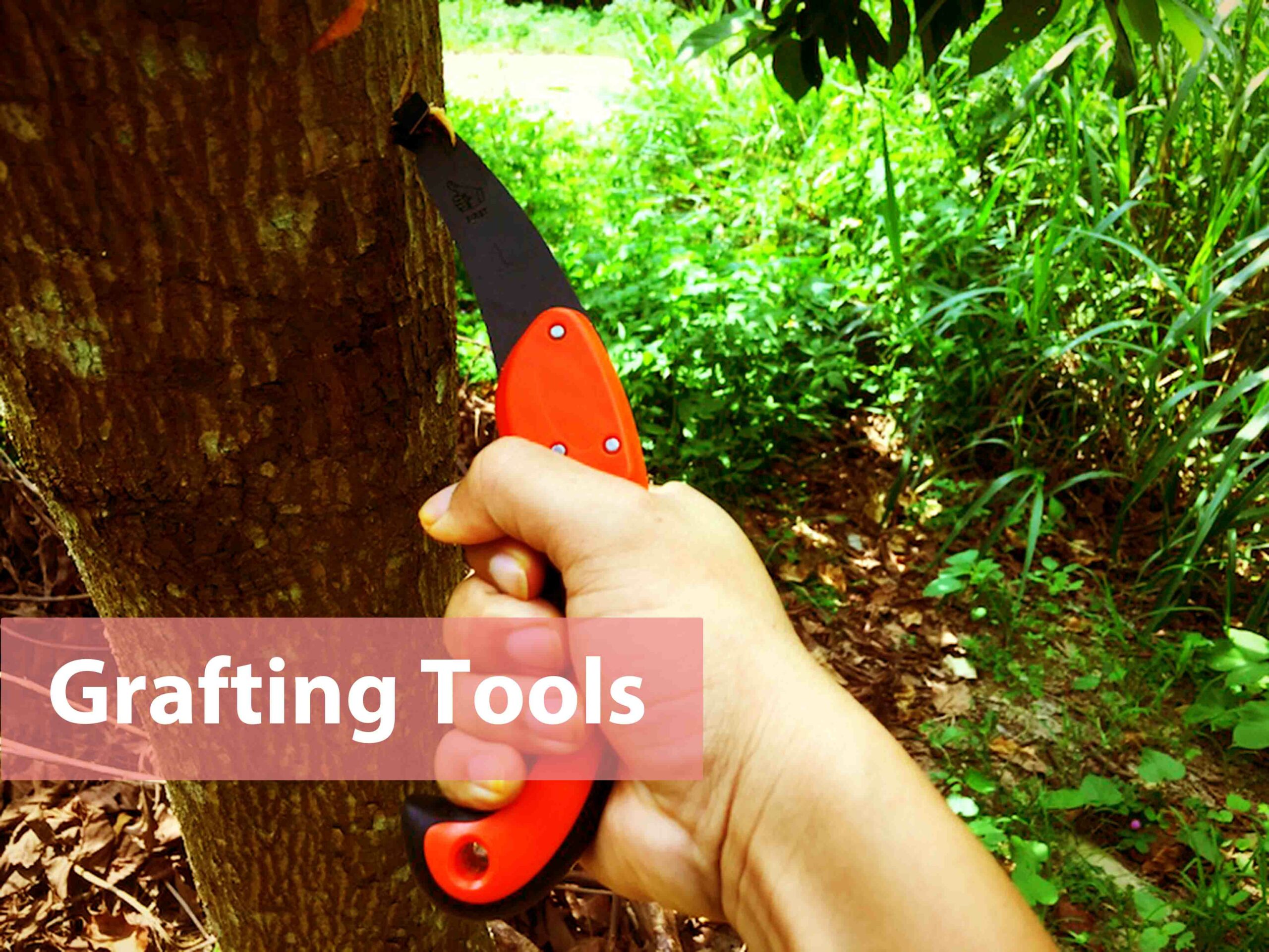 Grafting Tools